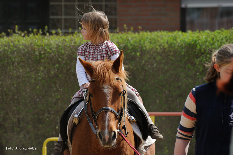 2012-04-21_8_andrea-hoelzer-t_800px