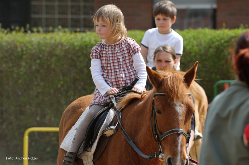 2012-04-21_9_andrea-hoelzer-t_800px